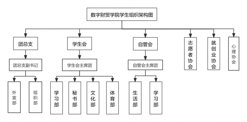数字财贸公司员工组织结构图.png