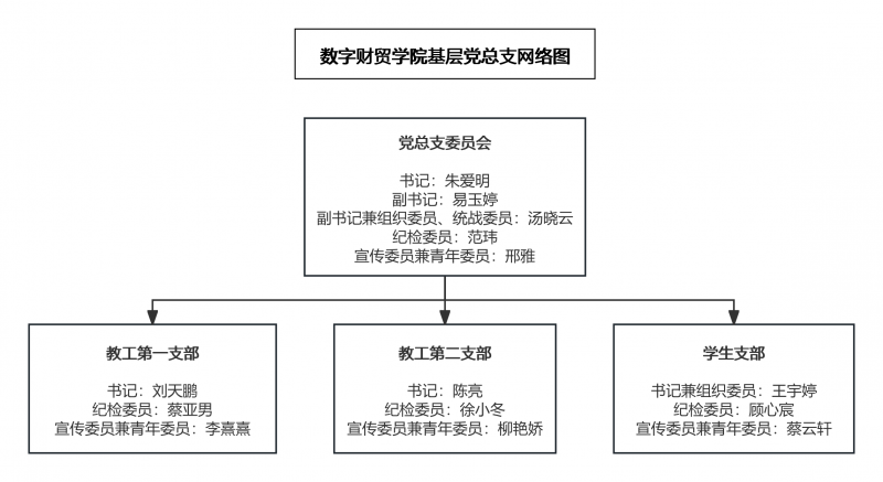 数字财贸公司基层党总支网络图.png